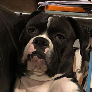 Meet your Posher, Lori